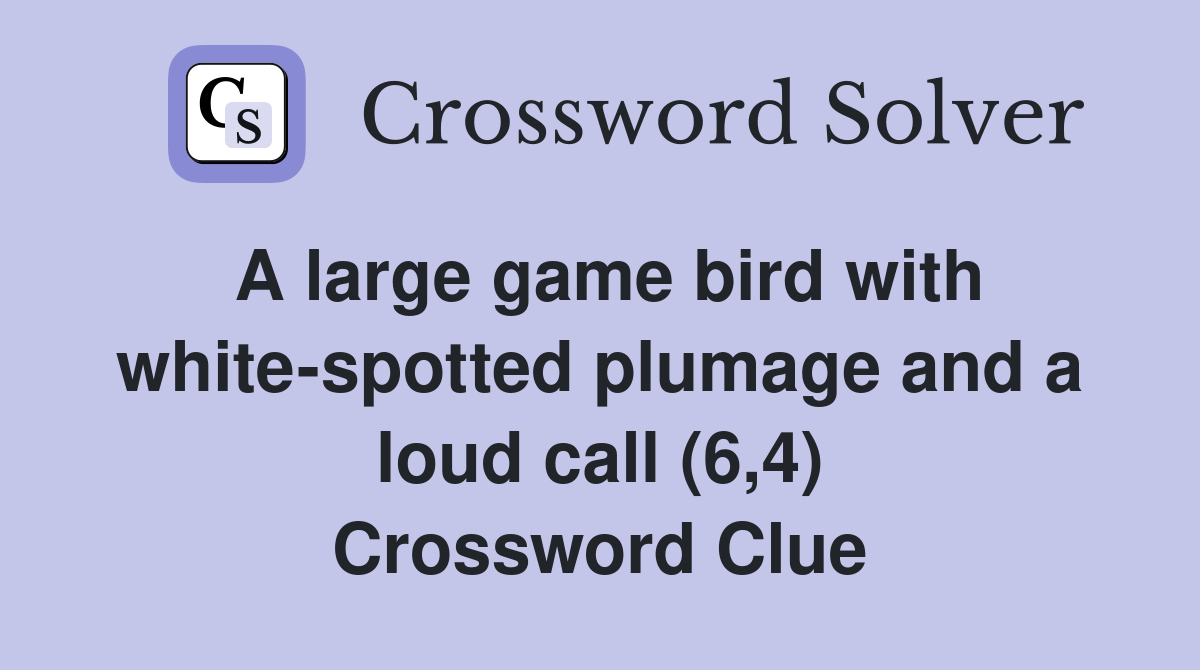 A large game bird with whitespotted plumage and a loud call (6,4